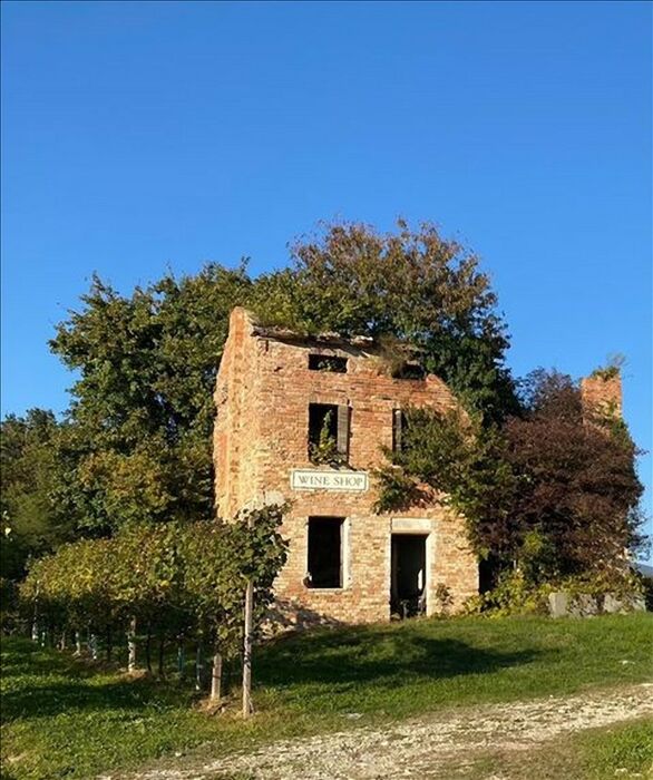 E-bike Tour sulle Colline del Prosecco: tra vigne e storia E-bike Tour sulle Colline del Prosecco: tra vigne e storia desktop picture