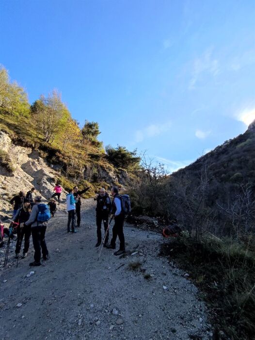 Trekking al Passo Spino: la meraviglia della migrazione autunnale Trekking al Passo Spino: la meraviglia della migrazione autunnale desktop picture