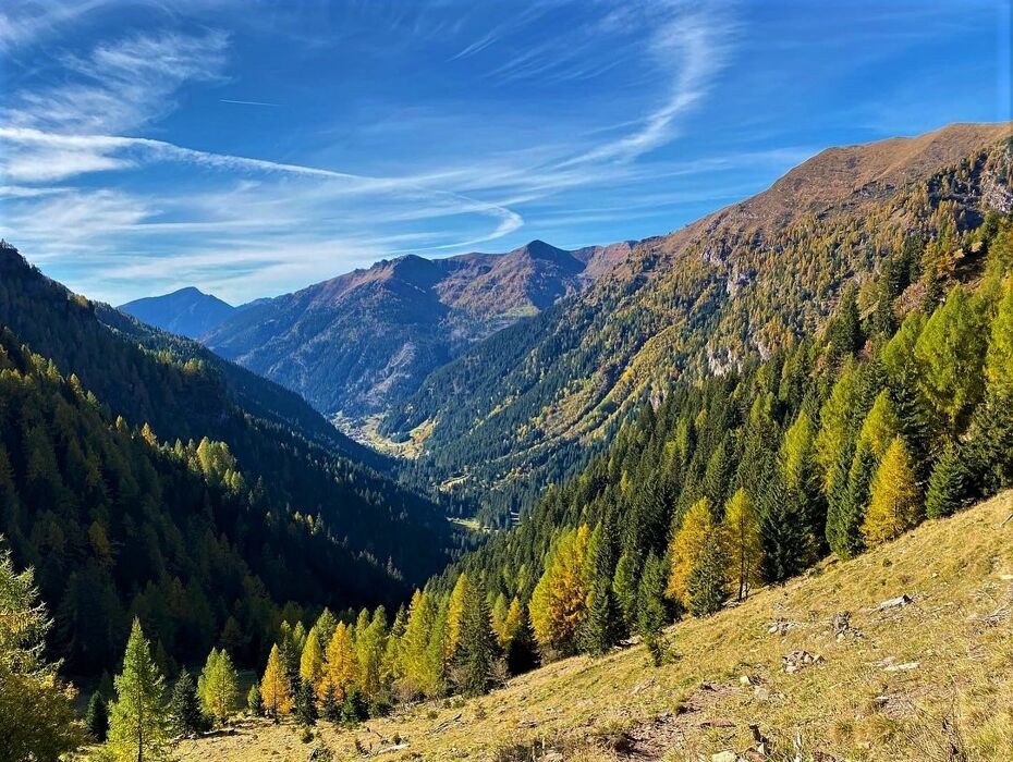 Trekking tra i colori autunnali nella Valle del Caffaro Trekking tra i colori autunnali nella Valle del Caffaro desktop picture