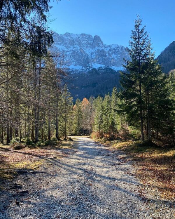 Event card Bagno di Bosco: relax nella natura in Val Saisera cover image