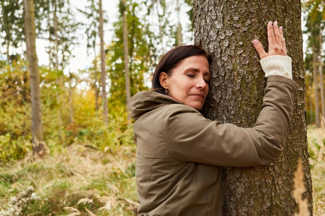 Bagno di Bosco: relax nella natura in Val Saisera Bagno di Bosco: relax nella natura in Val Saisera desktop picture
