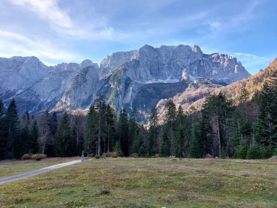 Bagno di Bosco: relax nella natura in Val Saisera Bagno di Bosco: relax nella natura in Val Saisera desktop picture