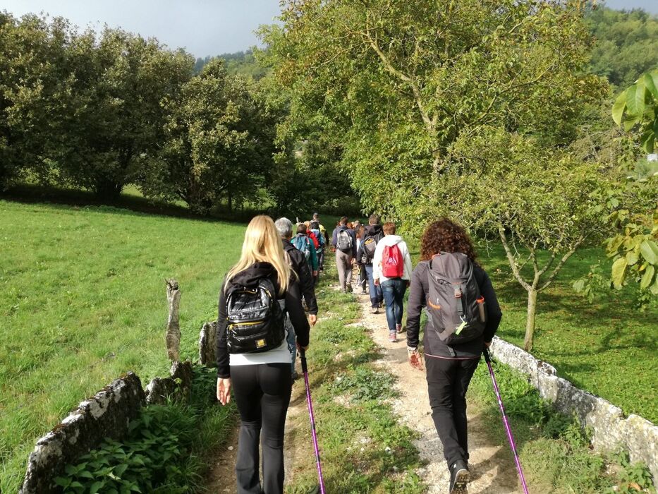 Escursione al Ponte di Veja con pranzo finale Escursione al Ponte di Veja con pranzo finale desktop picture
