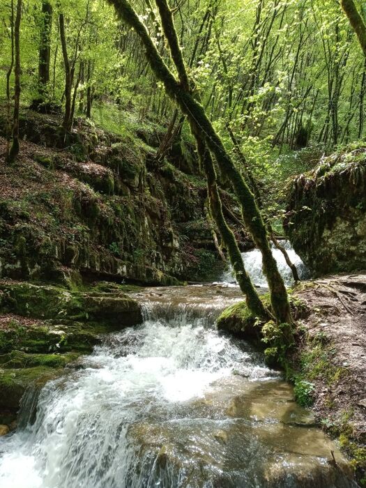 Escursione al Ponte di Veja con pranzo finale Escursione al Ponte di Veja con pranzo finale desktop picture
