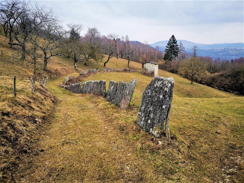 Escursione al Ponte di Veja con pranzo finale Escursione al Ponte di Veja con pranzo finale desktop picture