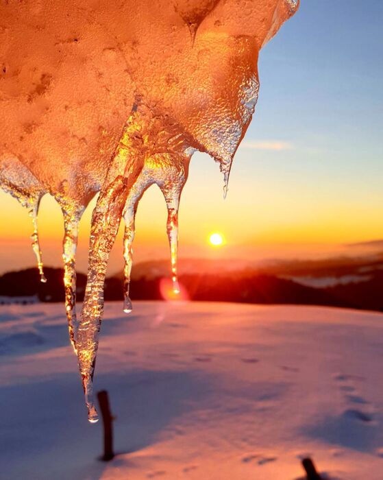 Tra sentieri e malghe: weekend in Lessinia con notte in rifugio Tra sentieri e malghe: weekend in Lessinia con notte in rifugio desktop picture