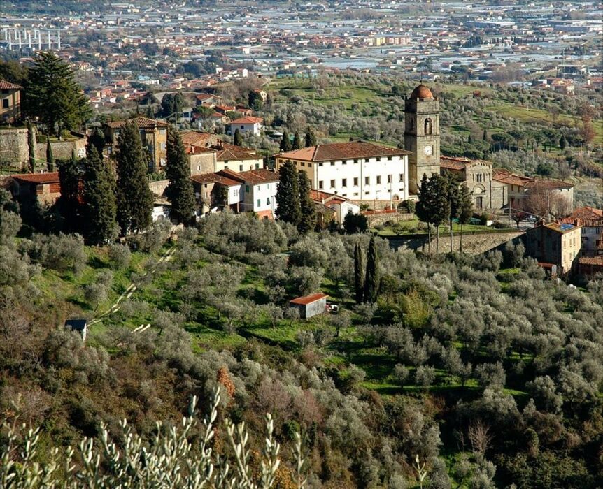 Passeggiata sui Colli di Lucca: Tour guidato in Fattoria con pranzo Passeggiata sui Colli di Lucca: Tour guidato in Fattoria con pranzo desktop picture