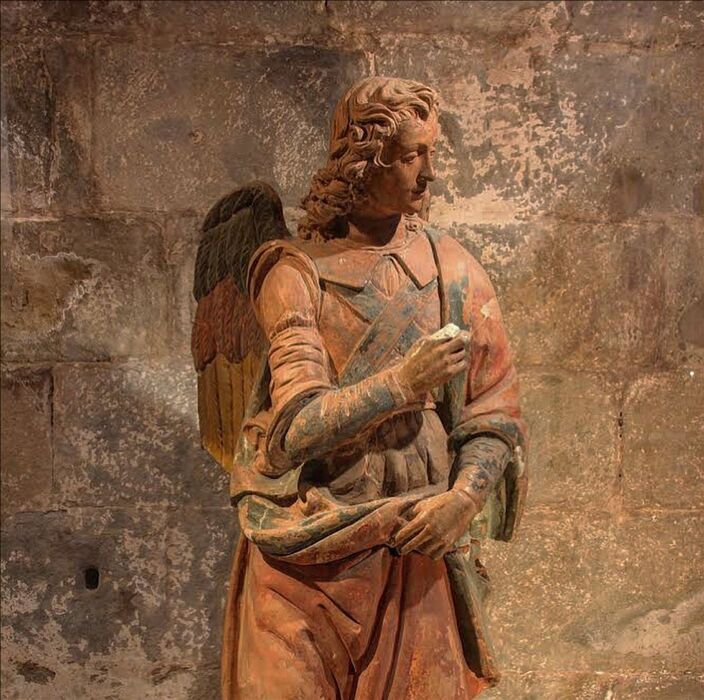 Passeggiata sui Colli di Lucca: Tour guidato in Fattoria con pranzo Passeggiata sui Colli di Lucca: Tour guidato in Fattoria con pranzo desktop picture