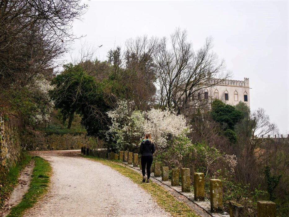 Montegrotto: Escursione ad anello da Villa Draghi verso il Monte Alto Montegrotto: Escursione ad anello da Villa Draghi verso il Monte Alto desktop picture