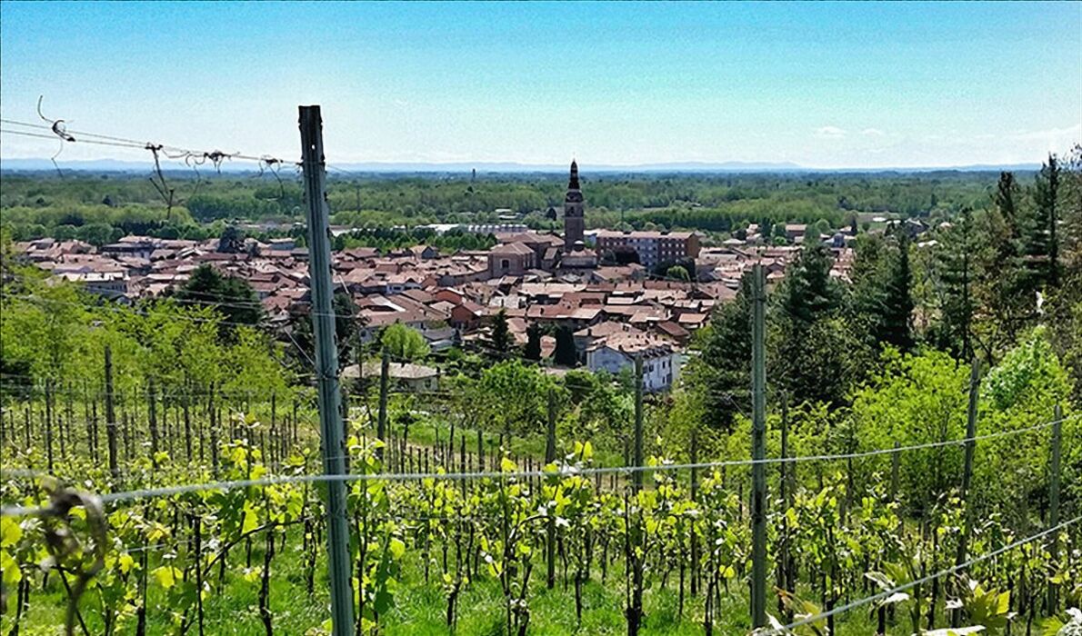 Camminata a Ghemme: il Ricetto tra i mercatini di Natale Camminata a Ghemme: il Ricetto tra i mercatini di Natale desktop picture