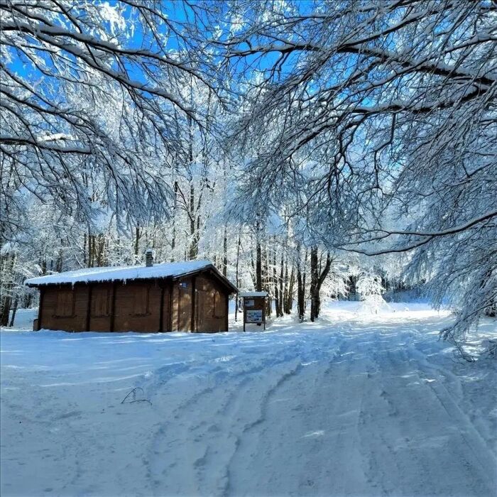 Ciaspolata alle pendici del Monte Cusna con rientro in notturna Ciaspolata alle pendici del Monte Cusna con rientro in notturna desktop picture
