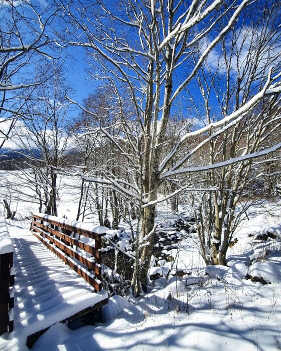 Ciaspolata alle pendici del Monte Cusna con rientro in notturna Ciaspolata alle pendici del Monte Cusna con rientro in notturna desktop picture