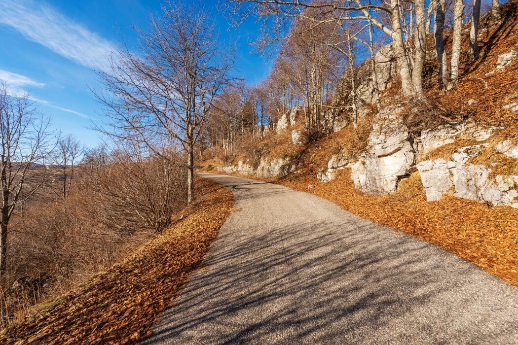 Escursione a Erbezzo: tra Paesaggi e Alberi Monumentali della Lessinia Escursione a Erbezzo: tra Paesaggi e Alberi Monumentali della Lessinia desktop picture