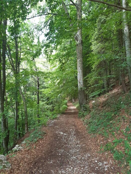 Val Marisa: Escursione con pranzo in agribirrificio Val Marisa: Escursione con pranzo in agribirrificio desktop picture