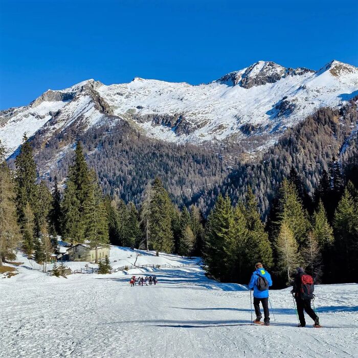 Ciaspolata nella Piana del Gaver: ai piedi del Monte Blumone Ciaspolata nella Piana del Gaver: ai piedi del Monte Blumone desktop picture
