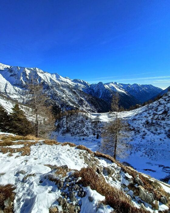 Ciaspolata nella Piana del Gaver: ai piedi del Monte Blumone Ciaspolata nella Piana del Gaver: ai piedi del Monte Blumone desktop picture