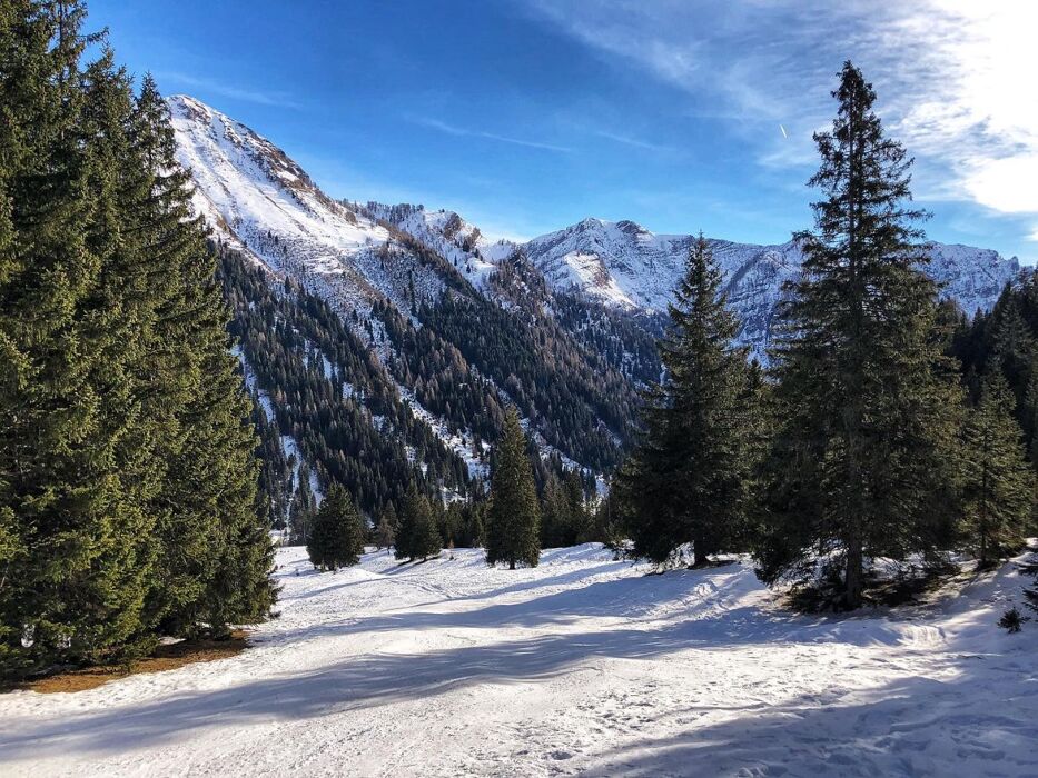Ciaspolata nella Piana del Gaver: ai piedi del Monte Blumone Ciaspolata nella Piana del Gaver: ai piedi del Monte Blumone desktop picture