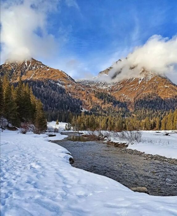 Ciaspolata nella Piana del Gaver: ai piedi del Monte Blumone Ciaspolata nella Piana del Gaver: ai piedi del Monte Blumone desktop picture