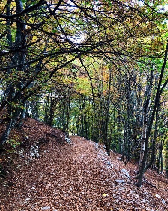 Trekking al Monte Pizzocolo: la Cima più alta del Garda Occidentale Trekking al Monte Pizzocolo: la Cima più alta del Garda Occidentale desktop picture