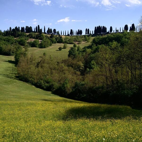 Event card Camminata sui Colli Bolognesi: la Dolina della Spipola cover image