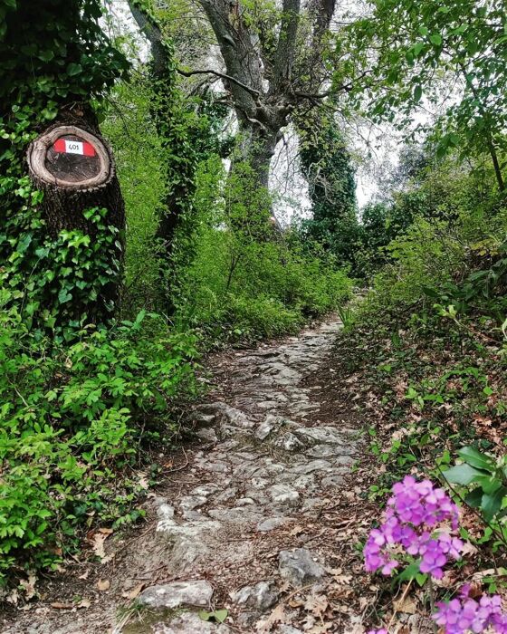 Escursione all'Eremo di San Marco: il gioiello aggrappato alla roccia Escursione all'Eremo di San Marco: il gioiello aggrappato alla roccia desktop picture