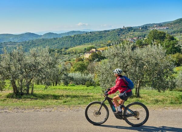 Event card E-bike Tour con degustazione ad Ascoli: le Terre dell'Oliva Ascolana cover image