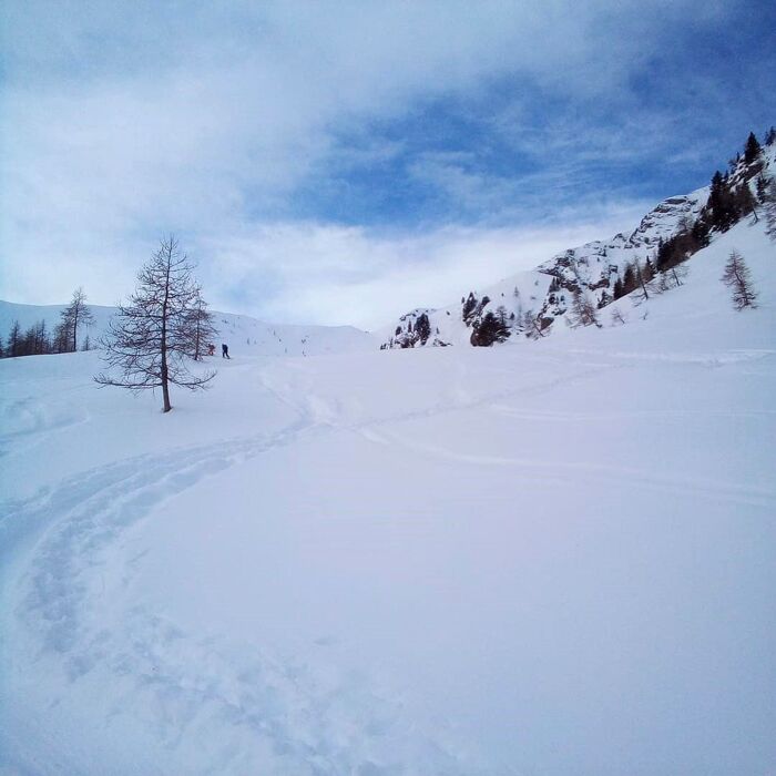 Ciaspolata al tramonto al Lago di Calaita: le Pale di San Martino Ciaspolata al tramonto al Lago di Calaita: le Pale di San Martino desktop picture
