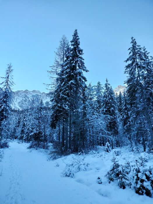 Val di Zoldo: Ciaspolata al laghetto del Vach e al borgo di Colcerver Val di Zoldo: Ciaspolata al laghetto del Vach e al borgo di Colcerver desktop picture