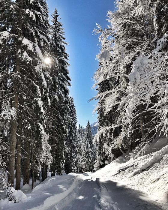 L'incontaminata Valle del Vanoi: Ciaspolata nel cuore del Lagorai L'incontaminata Valle del Vanoi: Ciaspolata nel cuore del Lagorai desktop picture