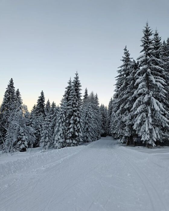 Ciaspolata panoramica al tramonto a Passo Cereda Ciaspolata panoramica al tramonto a Passo Cereda desktop picture