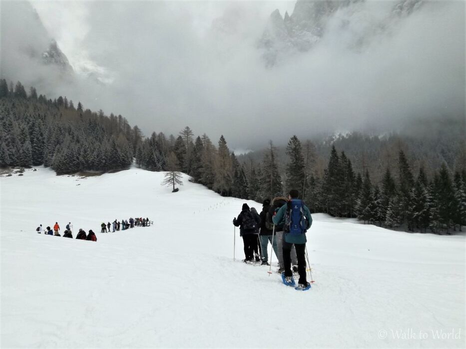 Ciaspolata panoramica in Val di Roda: la Valle Incantata Ciaspolata panoramica in Val di Roda: la Valle Incantata desktop picture