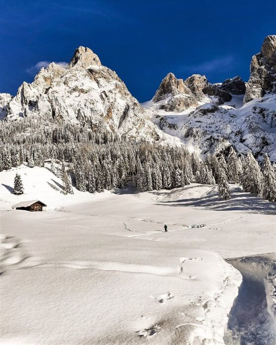 Ciaspolata panoramica in Val di Roda: la Valle Incantata Ciaspolata panoramica in Val di Roda: la Valle Incantata desktop picture