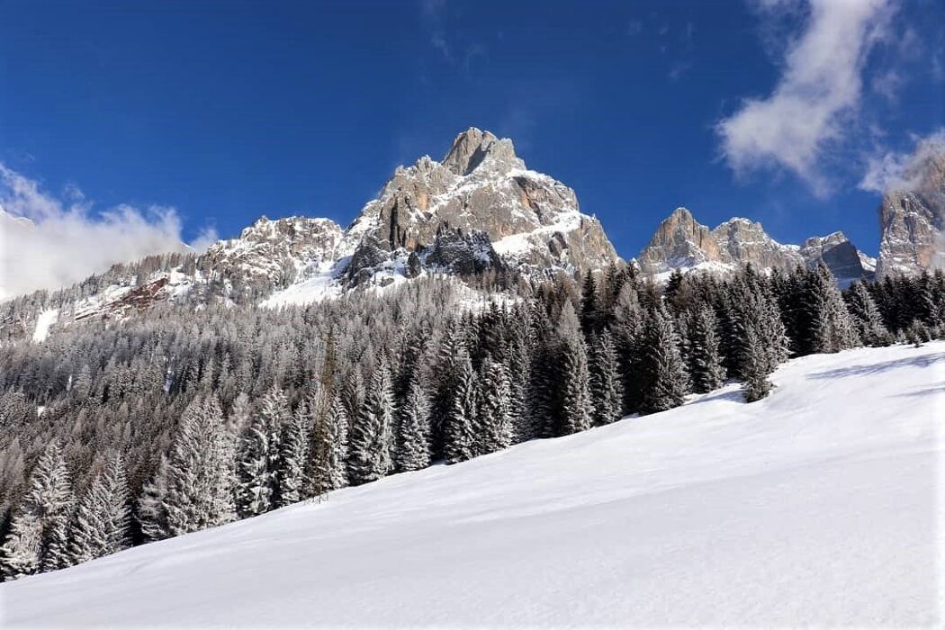 Ciaspolata panoramica in Val di Roda: la Valle Incantata Ciaspolata panoramica in Val di Roda: la Valle Incantata desktop picture