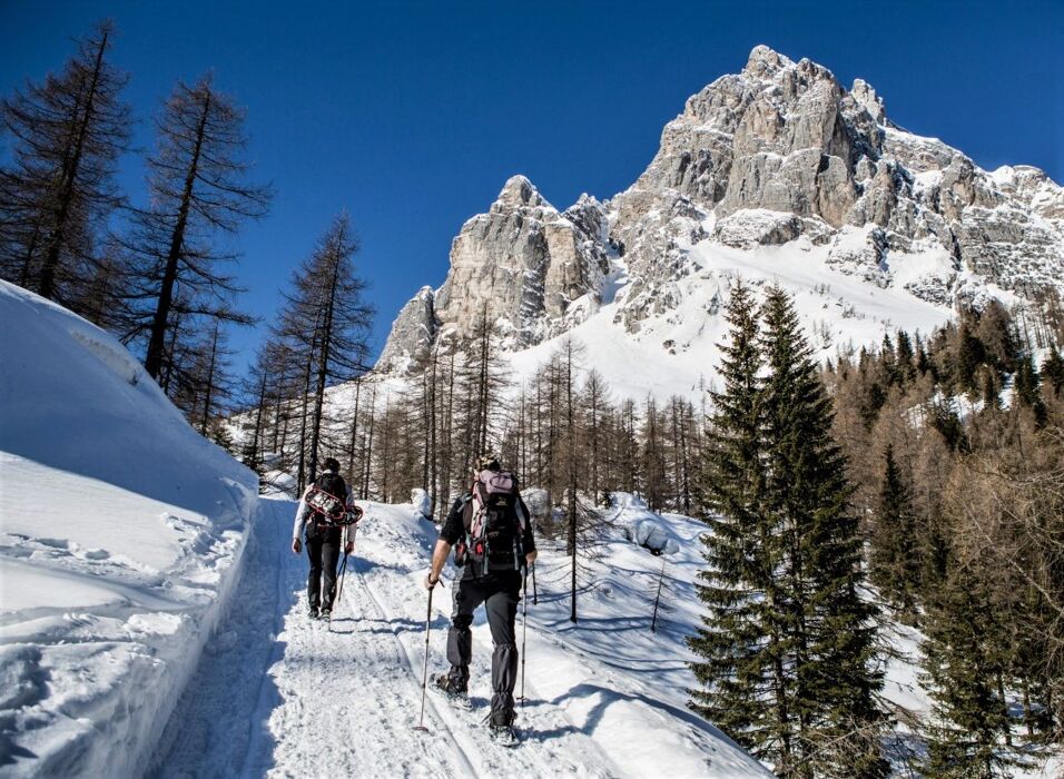 Ciaspolata all’ombra del Pelmo: dai tabià di Coi ai fitti mughetti Ciaspolata all’ombra del Pelmo: dai tabià di Coi ai fitti mughetti desktop picture