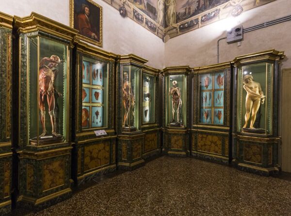 Event card Le stanze proibite di Bologna: Tour guidato tra nudo, sacro e profano cover image