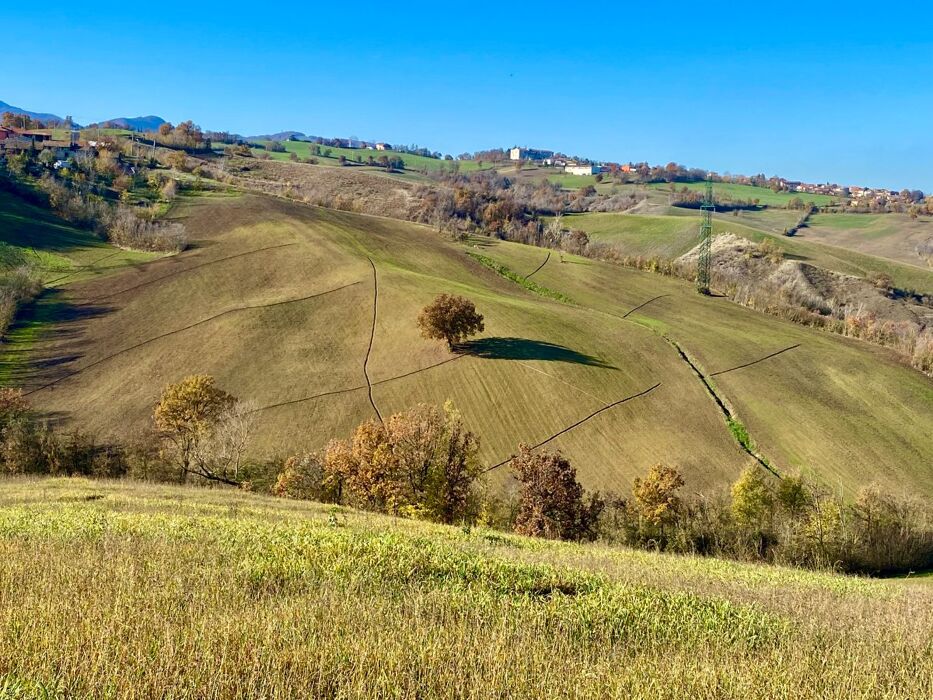 Trekking con degustazione sui colli parmensi: tra calanchi e Barboj Trekking con degustazione sui colli parmensi: tra calanchi e Barboj desktop picture