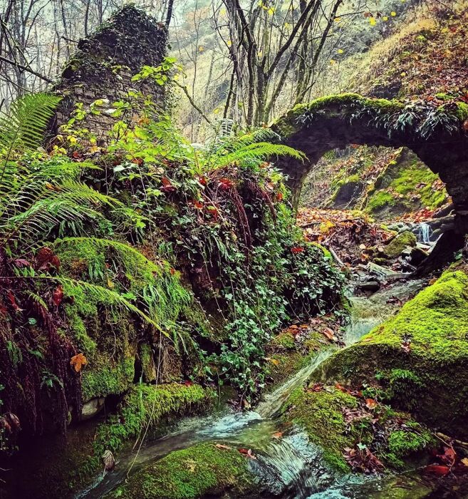 Trekking nella Valle abbandonata di Pietrapazza Trekking nella Valle abbandonata di Pietrapazza desktop picture