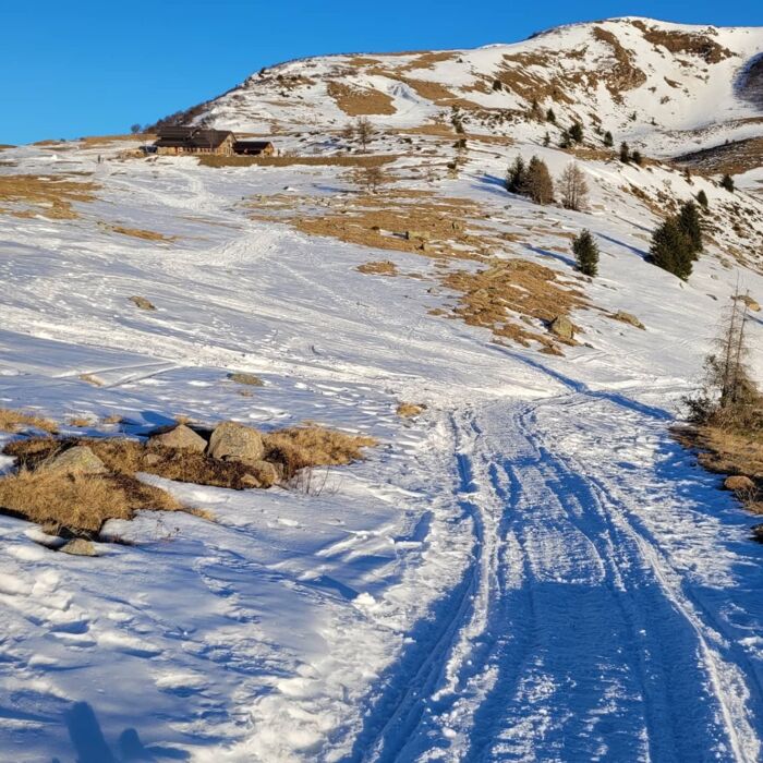 Ciaspolata panoramica con Pranzo in rifugio in Val Grigna Ciaspolata panoramica con Pranzo in rifugio in Val Grigna desktop picture