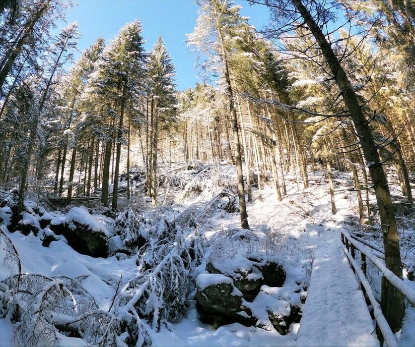Ciaspolata panoramica con Pranzo in rifugio in Val Grigna Ciaspolata panoramica con Pranzo in rifugio in Val Grigna desktop picture