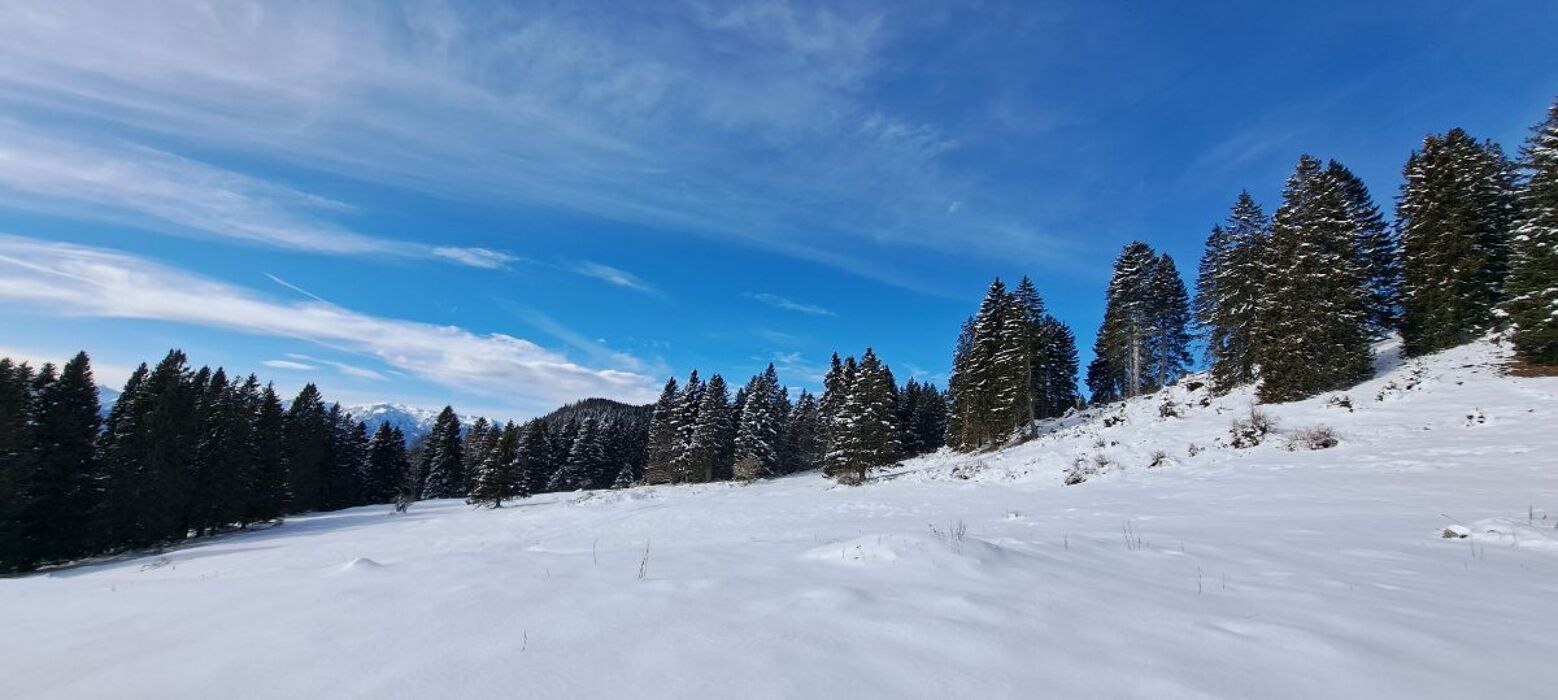 Ciaspolata sul Monte Erio: il balcone dell'Altopiano dei Sette Comuni Ciaspolata sul Monte Erio: il balcone dell'Altopiano dei Sette Comuni desktop picture