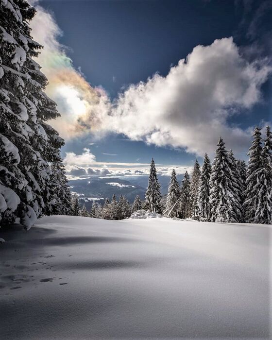 Ciaspolata sul Monte Erio: il balcone dell'Altopiano dei Sette Comuni Ciaspolata sul Monte Erio: il balcone dell'Altopiano dei Sette Comuni desktop picture