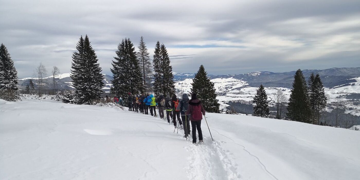 Ciaspolata sul Monte Erio: il balcone dell'Altopiano dei Sette Comuni Ciaspolata sul Monte Erio: il balcone dell'Altopiano dei Sette Comuni desktop picture