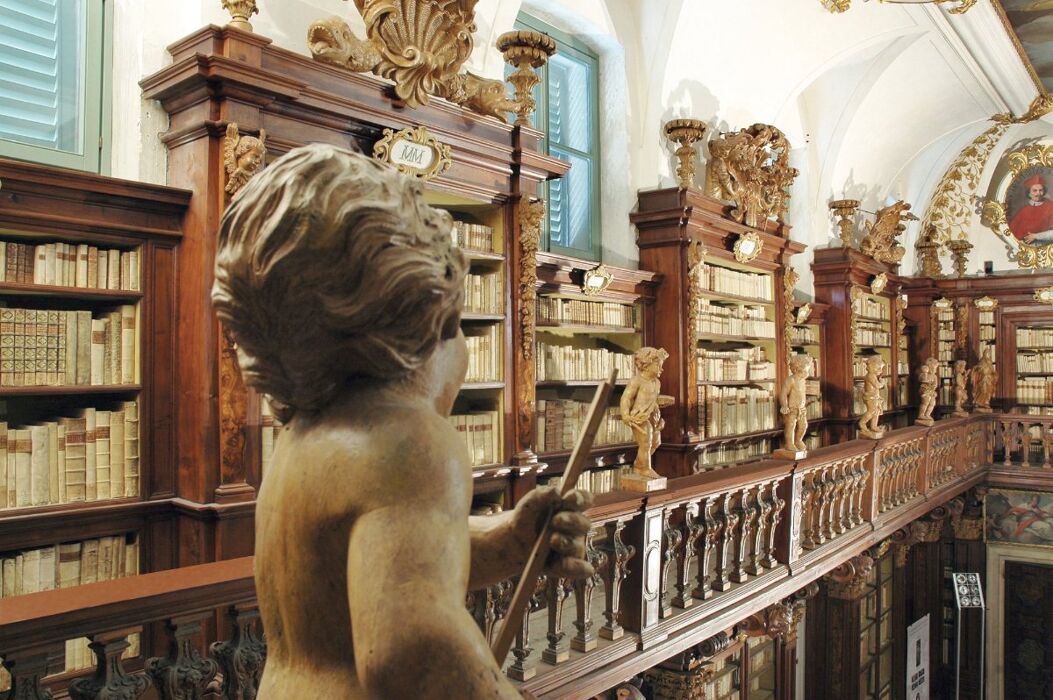 Palazzo Patriarcale a Udine: visita guidata alla scoperta del Tiepolo Palazzo Patriarcale a Udine: visita guidata alla scoperta del Tiepolo desktop picture