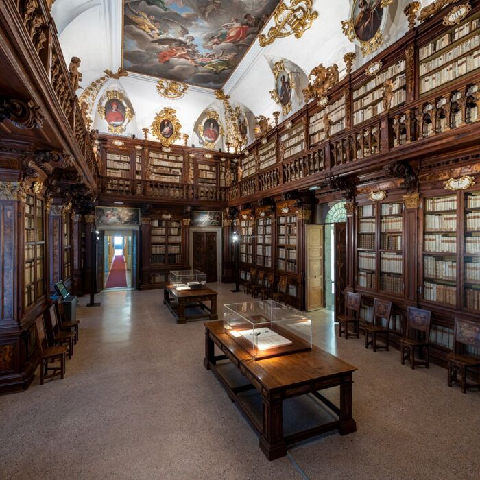 Palazzo Patriarcale a Udine: visita guidata alla scoperta del Tiepolo Palazzo Patriarcale a Udine: visita guidata alla scoperta del Tiepolo desktop picture