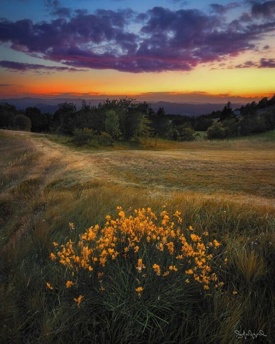 Itinerario sui suggestivi sentieri di Cimaferle nel Monferrato Itinerario sui suggestivi sentieri di Cimaferle nel Monferrato desktop picture