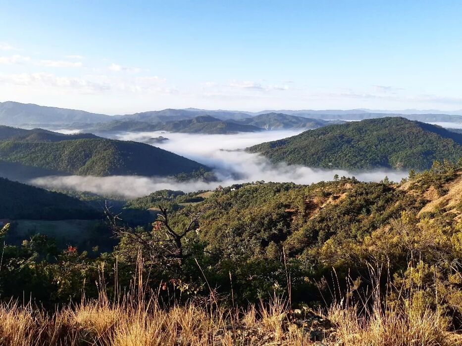 Itinerario sui suggestivi sentieri di Cimaferle nel Monferrato Itinerario sui suggestivi sentieri di Cimaferle nel Monferrato desktop picture