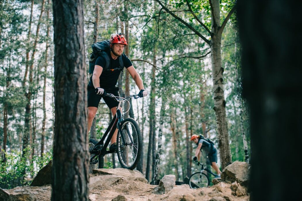 E-bike enduro tour in Val di Sole E-bike enduro tour in Val di Sole desktop picture