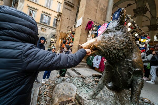 Event card Meeters Family: passeggiata a Firenze tra animali e creature fantastiche cover image