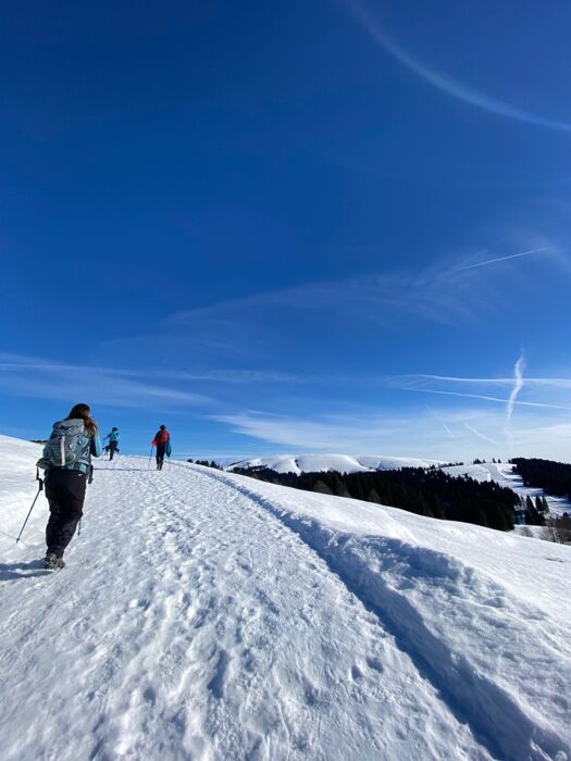 Escursione lungo la dorsale dell'Altopiano di Asiago: i monti Ongara e Baldo Escursione lungo la dorsale dell'Altopiano di Asiago: i monti Ongara e Baldo desktop picture