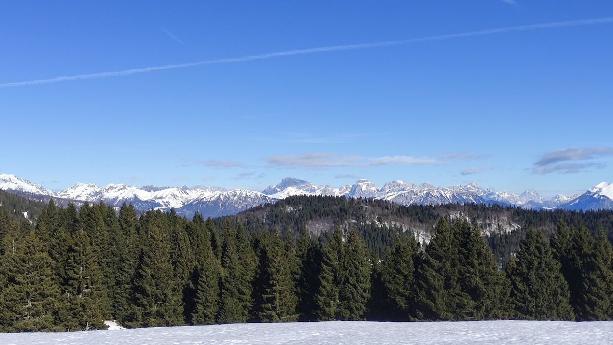 Escursione lungo la dorsale dell'Altopiano di Asiago: i monti Ongara e Baldo Escursione lungo la dorsale dell'Altopiano di Asiago: i monti Ongara e Baldo desktop picture